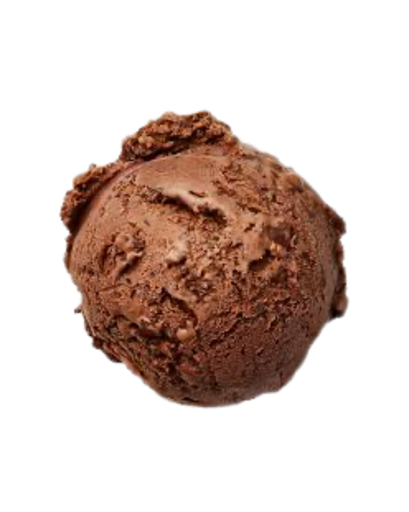 Fudge Chocolate Brownie